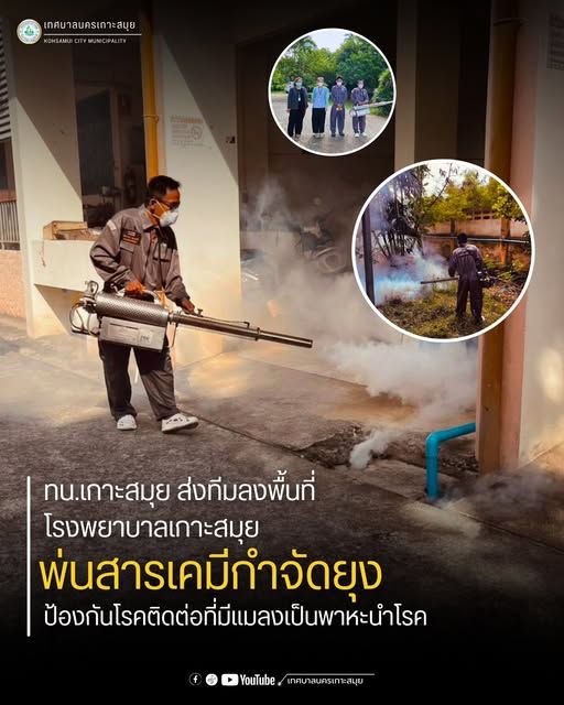 Mosquito Control Measures Implemented During the Rainy Season in Koh Samui