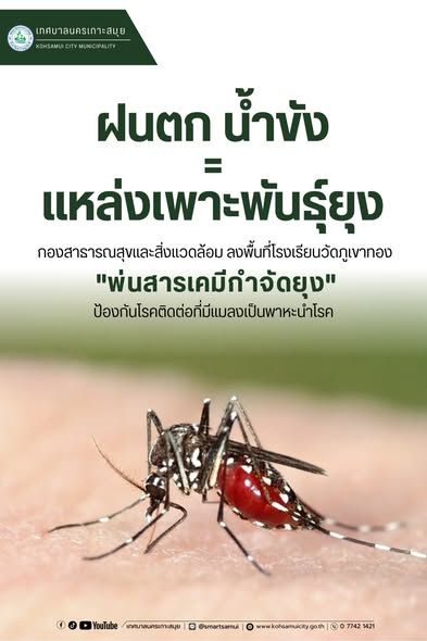 Waterlogging and Mosquito Breeding: A Public Health Challenge