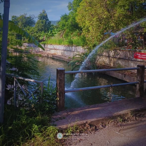 Ongoing Environmental Protection Initiatives in Ko Samui